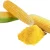 Corn with cornstarch – raw material for biodegradable plastic.